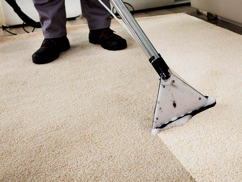地毯清洗后会不会有虫子？如何处理？